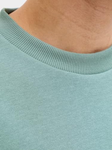 JACK & JONES Jjebradley Sweat Crew Noos 6
