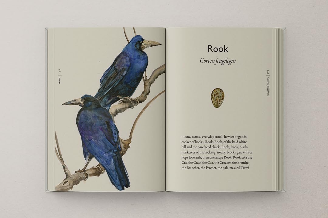 The Book of Birds: The #1 Sunday Times bestseller from the authors of award-winning phenomenon The Lost Words