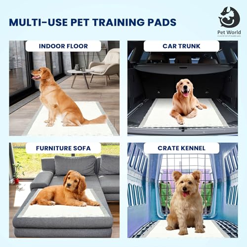 Image of Pet World Training Pads, with Odor Lock Technology & Super Absorbent Pee Pads, Leak-Proof Dog Potty Training Pads for Puppies, Dogs,Cats & Rabbits (60 X 60 cm)(100 Pcs)