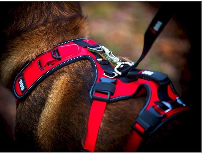 I-Dog harnais Chien Confort Trek Taille XXS Rouge - 55/65 x 32/36 cm