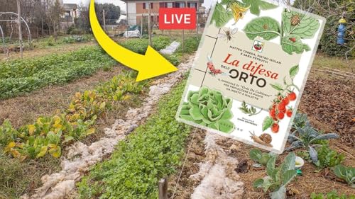 Proteggere l'orto dalle malattie e avere piante in salute. Con Orto da Coltivare
