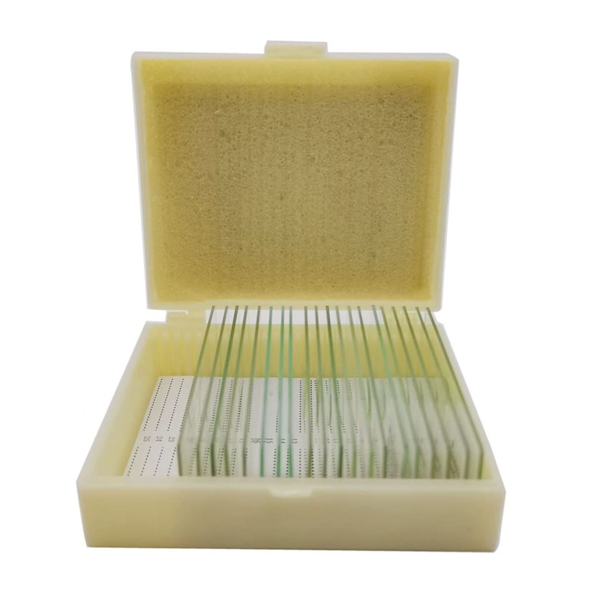 Accessori per microscopi Set di Diapositive for Il microscopio da 20 Pezzi Durata e Prestazioni affidabili