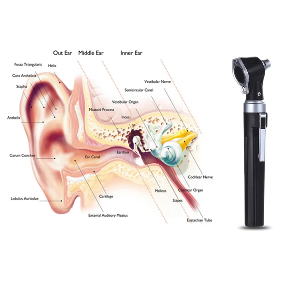 Dr. Care Mini Otoscope - Portable Ear Light and Exam Kit for Home and Professional Use - Fiber Optic Scope Ear Scope with Light, Ear Infection Detector - Pocket Diagnostic Equipment (Black) Dr. Care Mini Otoscope - Portable Ear Light and Exam Kit for Home and Professional Use - Fiber Optic Scope Ear Scope with Light, Ear Infection Detector - Pocket Diagnostic Equipment (Black)