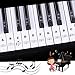 Klavier Keyboard Note Aufkleber,Keyboard & Klavier Sticker für Kinder und Anfänger,Klavieraufkleber für Keyboards,Piano Sticker Komplettsatz,Klavieraufkleber für 37-88 Tasten,Piano und Noten Lernen