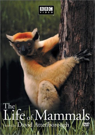 The Life of Mammals, Vol. 3 [Import] [DVD] David Attenborough