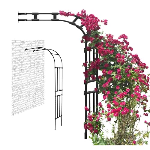 YUANCHUTOP Celosía Blanca de Medio Arco para Plantas trepadoras, Soporte metálico de 240 cm/267 cm para Rosales y vides, Arco de jardín de celosía, 220 x 240 x 50 cm.