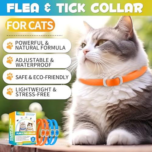 Anti-Floh- und Anti-Zecken-Halsband für Katzen, 4 Stück gegen Larven und Eier – beseitigt und tötet – schützt das Tier und den Lebensraum, effektiver Schutz für 24 Monate, verstellbar und wasserdicht