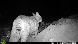 Review Image by Crystal E. Crystal E.