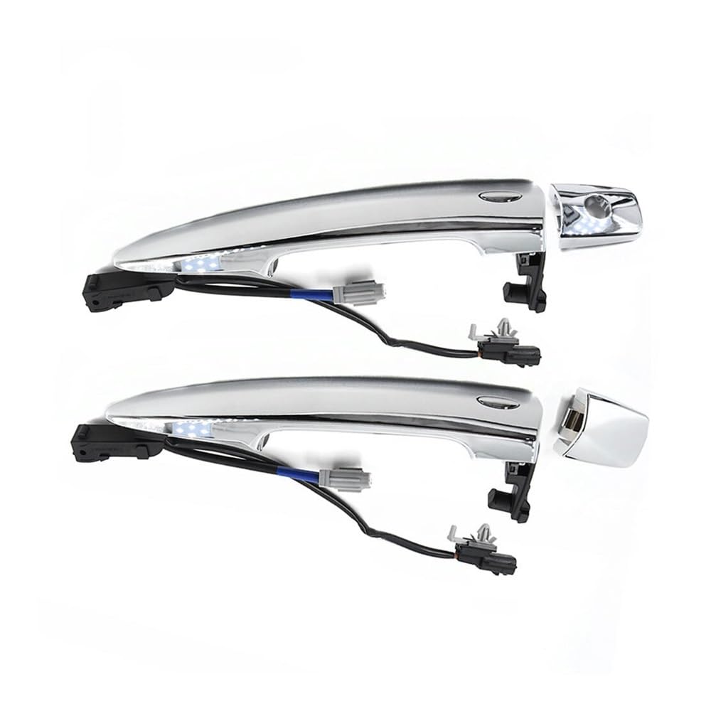 Poignées de porte extérieures argent 826469N00A pour Leaf Maxima