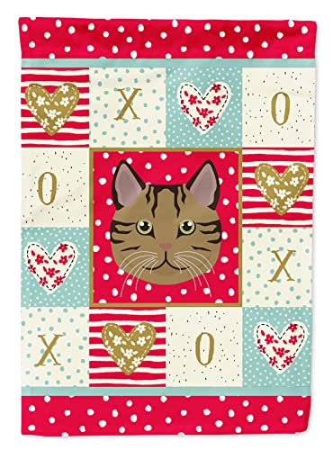Drapeau de maison Scottish Straight décor extérieur chat