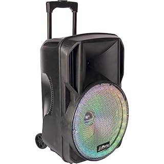 Party Light & Sound - Enceinte Karaoké Sono PARTY15-RGB Portable Bluetooth 800 W Batterie 2 micros USB SD - Cadeau Sono DJ Soirée Fête Anniversaire