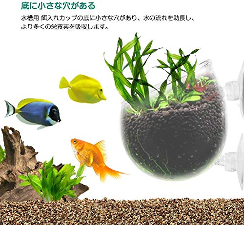 最安値 Pssopp 餌やり器 フィーダーカップ 餌入れ 水槽用 栽培カップ 水草 ポット アクアリウム 熱帯魚 植物カップ ガラス 取り外し可能 魚 エサ皿 吸盤付き 水族館 水槽 魚タンクに最適 手軽 ワームフィーダ 給餌器の価格比較