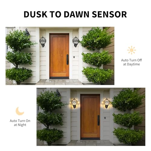 Dusk to Dawn Globe Outdoor Wall Lights for Porch, Black House Exterior Light Fixtures Wall Mount, Anti-Rust Sphere Outside Wall Sconces Lanterns Lighting, 2 Pack