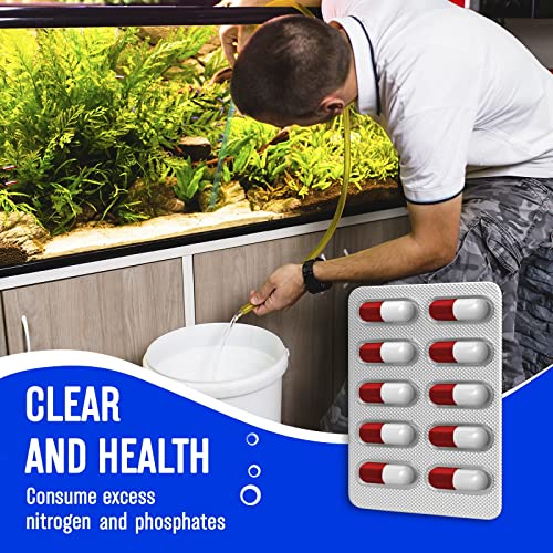 Aquarium Water Clarifier - Clowdy Water - Fish Tank Treatment #TOP5