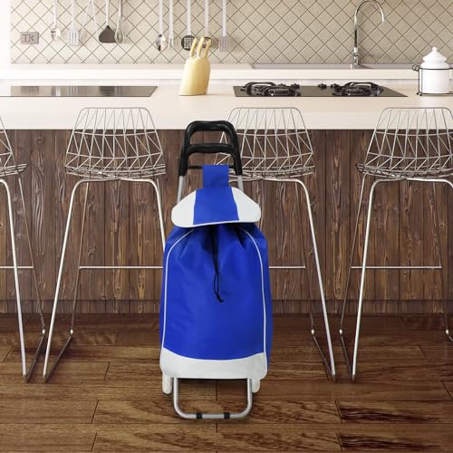 La Mejor Selección de Carrito de Mandado Plegable Top 5. 17 Carrito de Mandado Plegable marca Andromeda Inc (2)