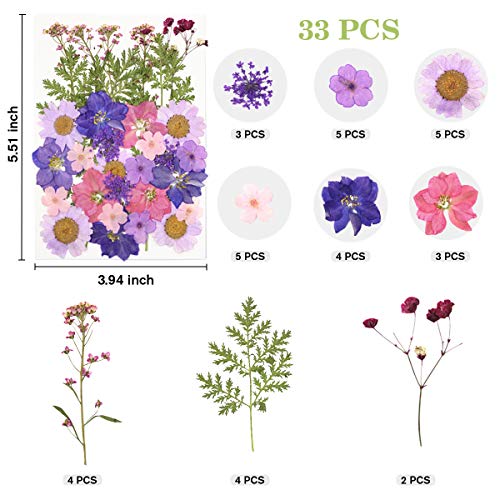 image for XUXU Real Dried Pressed Flowers Leaves Petals for Crafts, Colorful Pre