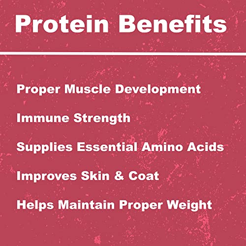 Whole Life Pet Products Healthy Cat Treats, 4 Ounce (Ch554) & Real Salmon, Healthy Food Topper Or Snack, Sensitive Stomach Food, (2.5-Ounce Pack) #TOP6