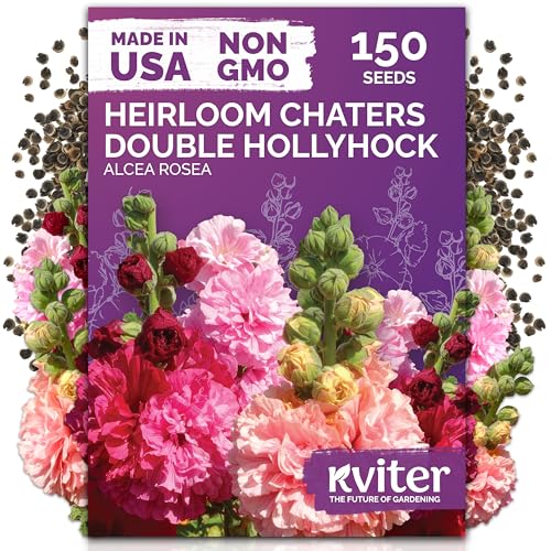 KVITER 150 Chaters Hollyhock Seeds for Planting (Alcea rosea) - Heirloom | Tall Blooms | Pollinator Magnet - Double Hollyhocks Flower Seeds to Plant Outside in Garden, Cottage Borders, Containers