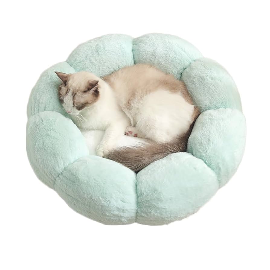 猫用籐ベッド 花柄クッション付き 楽天市場】ペットベッド 猫 ちぐら 犬 ベッド 竹編み 春夏 猫ち