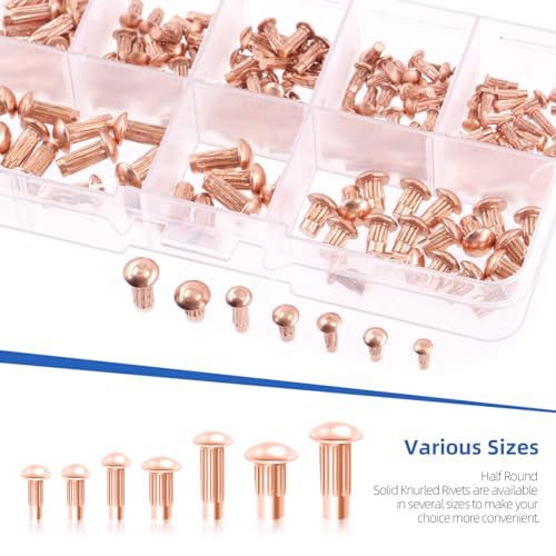 Glarks 170pcs Solid Nieten Knulled Shanks Set, M2 M2.5 M3 M4 Halbrunder Kopf Rot Kupfer Solid Nieten Sortiment Kit mit Aufbewahrungsbox Home Outdoor Hardware Tool