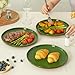 Ruxmirae 10.25-Inch Dinner Plates Set of 4, Dual Glaze Stoneware Plates, Microwave and Dishwasher Safe, Ceramic Plates for Everyday Dining, Forest Glaze Green