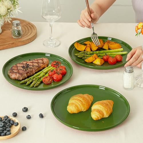 Image of 10.25-Inch Dinner Plates, Set of 4, Forest Glaze Green | Dual Glaze Stoneware Plates, Microwave Safe, Dishwasher Safe, For Everyday Dining
