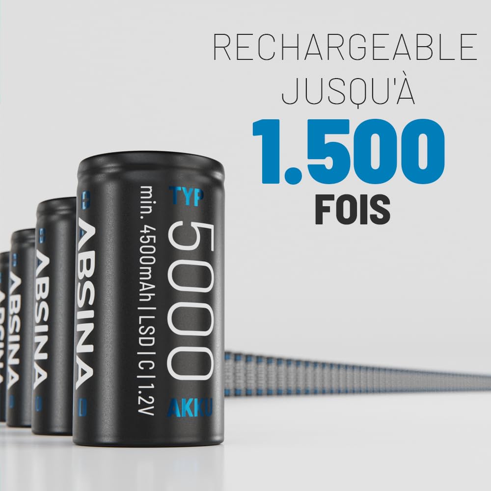 ABSINA Pile Type C Rechargeable 5000 à Faible Auto-Décharge
