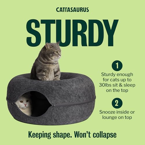 Image of Cattasaurus Peekaboo Cat Cave for Multiple & Large Cats Up to 30-45 Lbs, Scratch Detachable & Washable Tunnel Bed, Comfy Donut Cat Cave (Dark Gray, Large)