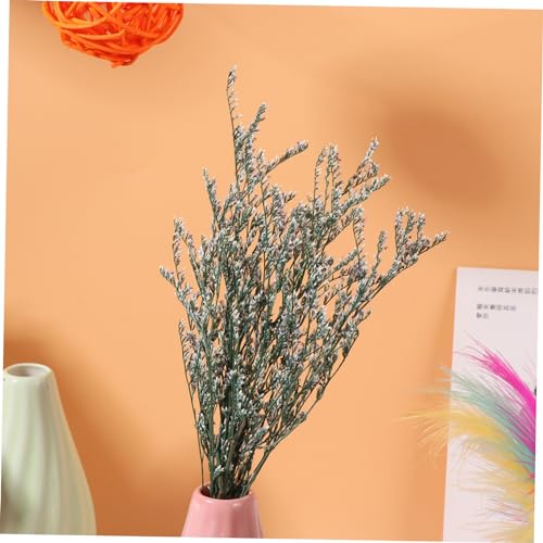 Ramo Seco Levemolo para Decoración DIY miniatura 2