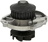 Zähnezahl: 20 Dolz S261 Wasserpumpe