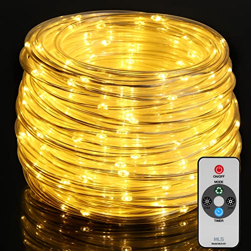 10 Best 10 Rope Lights Review And Buying Guide of 2022
