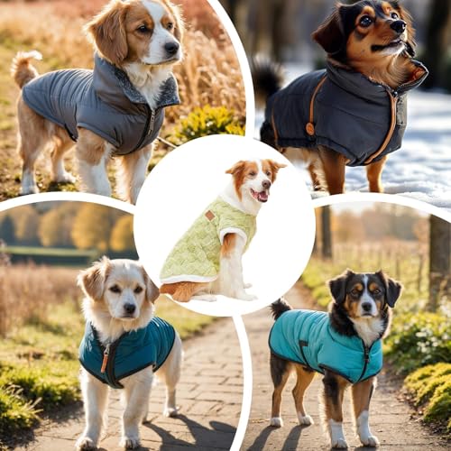 Accesorios de invierno ligeros para evitar temblores en perros de interior 5