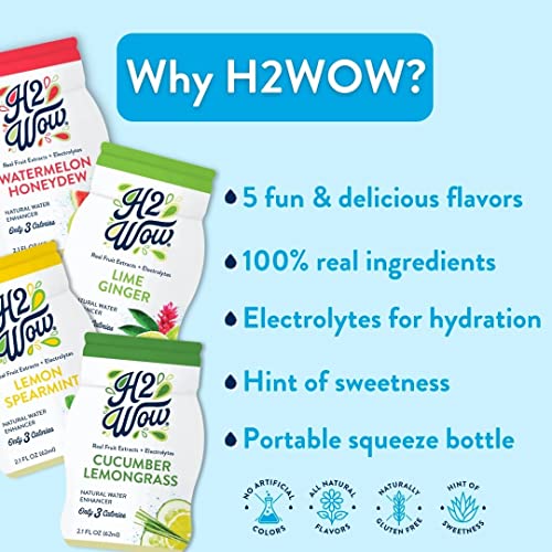 H2Wow Water Enhancer Drops Organic & Natural Extracts Of Real Fruit - A Hint Of Organic Stevia - 2.1Oz Bottles Variety 4 Pack #TOP1