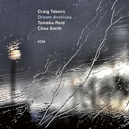 Craig Taborn, Tomeka Reid & Ches Smith