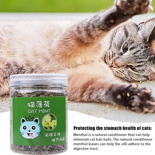 Katzenminze für Katzen, Katzenminzenstäbchen für Kätzchen, Nips für organische Katzen, natürlich, zur Energie und Erregung von Katzen, Training für Katzen mit 20 g und neues Bio-Spielzeug