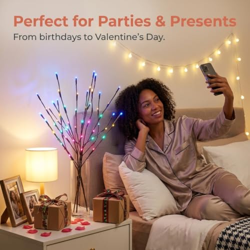 Image of DK177 4 Pack Multicolor Light LED Lighted Branches Battery Operated Lights
