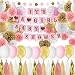 Baby Shower Decorations for Girl Pink and Gold Baby Girl Shower Decorating Kits with Banner, Balloons, Pom Poms Flowers, Paper Lantern, Paper Garland, Tassels …