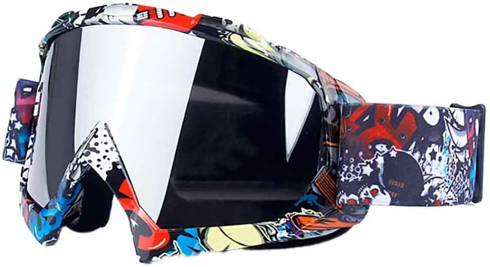 sci in plastica per motoslitta