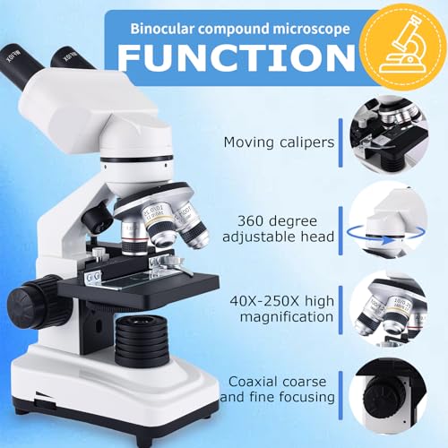 OOZSTAR Microscope Magnification 40X-2500X WF25x Eyepieces, Dual LED Illumination, Microscope for Adults, Binocular Microscope for Schools, Homes, Labs, Education - Thumbnail 2