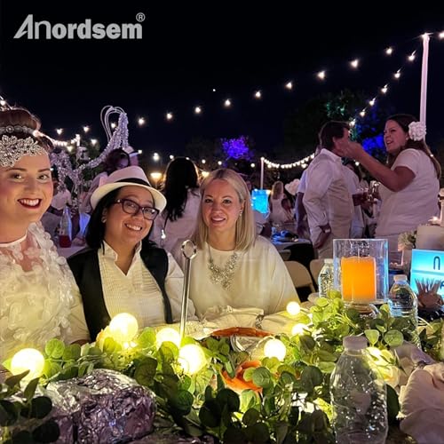 Anordsem Pacote com 2 bolas de algodão luzes de fadas operadas por bateria 10 LEDs bolas de lã cordã