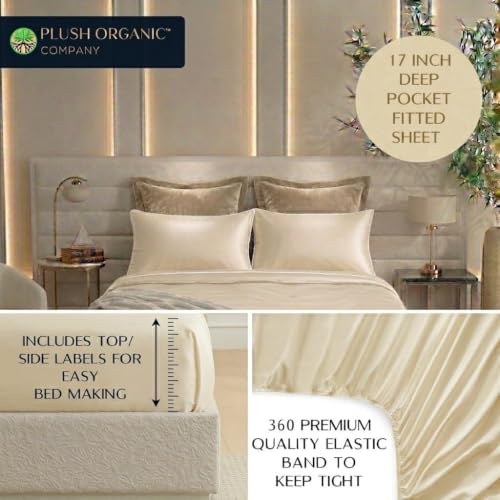 Image of Queen Luxury 4 Piece Bedsheet Set, Ivory with White Piping, Cooling Resort Bedding, Ultra Soft, Viscose derived from Bamboo, Organically Grown, 300 Thread Count