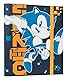 Grupo Erik Ringordner - Sonic Ordner A4 - Sonic The Hedgehog Ordner - Aktenordner 2 Ringe - Ringbuch DIN A4 - Sonic Fanartikel für Ihre Dokumente, das Lernen oder die Arbeit