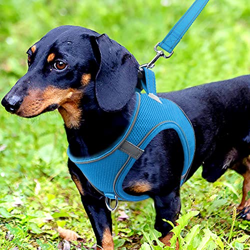 Joytale Step in Dog Harness,Soft Mesh Reflective Breathable Vest Harnesses,Easy Walk Harness with Safety Buckle for Small and Medium Dogs,M,Sky Blue - Image 2