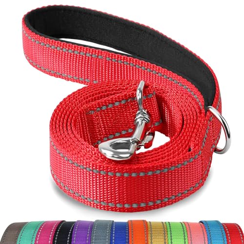 Joytale Dog Leash, 6 FT Double-Sided Reflective, Padded Handle Nylon Heavy Duty Leashes for Medium & Large Dogs Walking, Red