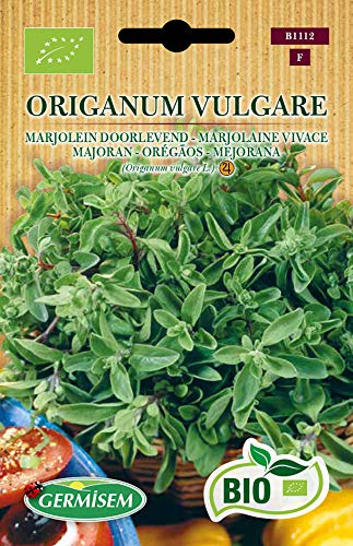 Germisem Biologico Origanum Vulgare Semi di Bietola 0.5 g