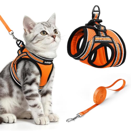 Image of rabbitgoo Cat Harness and Leash Set, Step-in Soft Vest, M, Orange | Escape Proof, Lightweight Air Mesh, Easy-on, Adjustable, Hook & Loop with Buckle, Reflective, for Kittens & Small Cats Walks