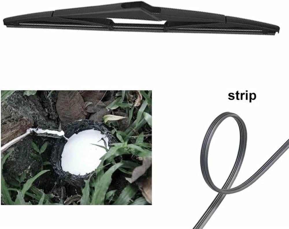 ZHUNDU Braccio tergicristallo per Auto per V50 2004-2012 Kit Set Braccio e Spazzola tergicristallo Posteriore Parabrezza Parabrezza Tergicristallo lunotto Posteriore 12'' Spazzola tergicristallo