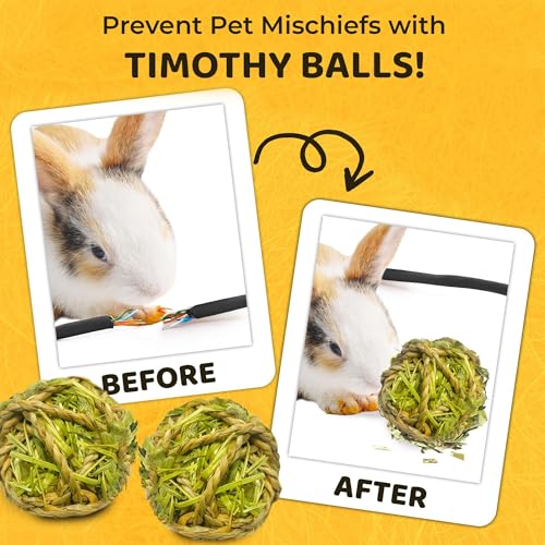 Image of SunGrow Timothy Balls for Rabbits, Chew Toys for Oral Care & Digestion, High Fiber Hay Treats for Bunnies, Guinea Pigs & Small Pets, Teeth Trimmer & Encourage Foraging Instincts, 3 Pcs