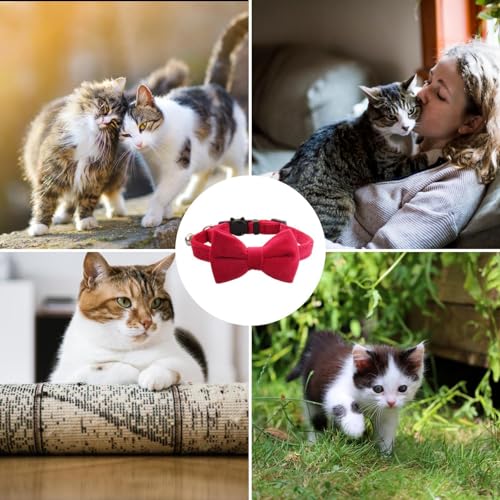 Schmetterling für Katzenhalsband – gleitende für Katzenhalsband, Fliege für Katzen für Hunde | vielseitiges Halsbandzubehör für kleine Haustiere
