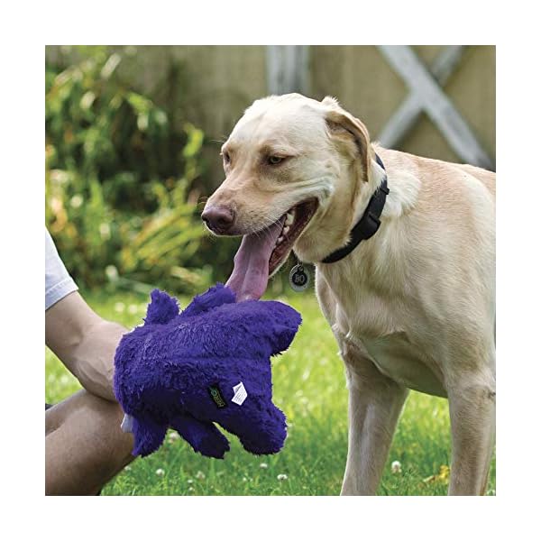 Hero-Chuckles-Plush-Squeaky-Dog-Toy-Durable-Stuffed-Animal-with-3-in-1-Squeaker Plush Squeaky Dog Toy